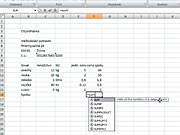 Vkladání vzorců v Excel  - Jak vkládat vzorce 