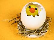Kuřátko ve vajíčku - Jak vyrobit kuřátko ve vajíčku