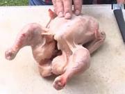 Jak vykostit kuře - vykostění kuřete - Jak  grilovat kuřecí maso