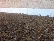 Kamenný koberec - jak si vyrobit kamenný koberec Presstone