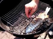 Jak ugrilovat rybu - Principy grilování - recept jak se griluje ryba Mořský vlk