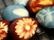 Přírodní barvení velikonočních vajíček