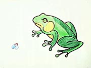 Žába - jak se kreslí žába, jak nakreslit žábu