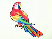 Papoušek - jak nakreslit papouška