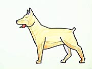 Pes - jak nakreslit psa - jak se kreslí pes